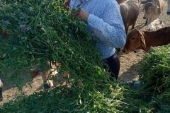 WhatsApp-Image-2024-04-24-at-4.41.38-PM